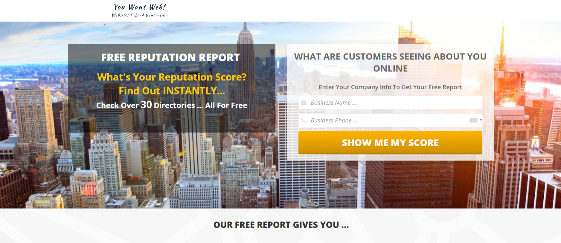 You Want Web – Reputation Report Funnel